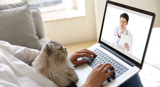 Rahasia Multitasking Laptop Lebih Efisien